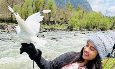 Kashmir